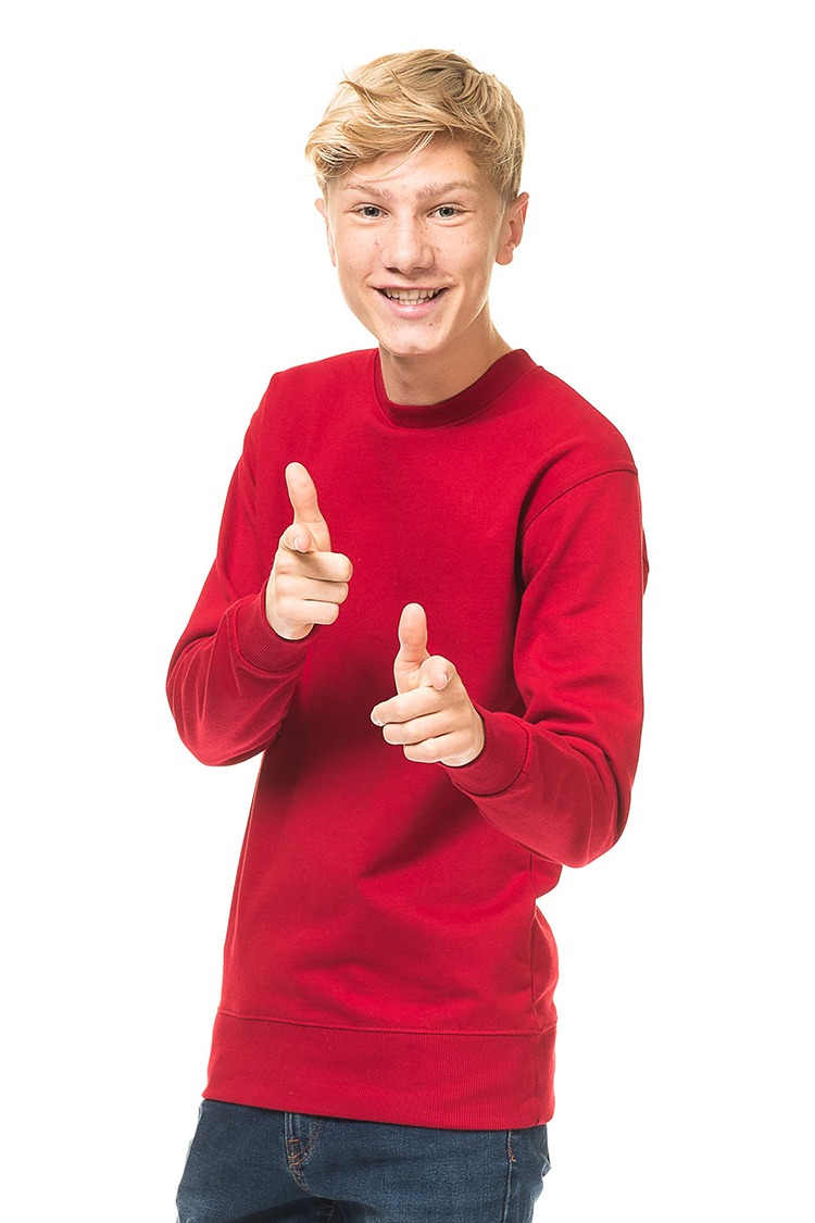 Kraftig Heavy Sweatshirt - Billede 7